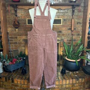 Aerie Brown Overalls